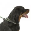 CLIX 3 in 1 Slip Lead In Use 5_1