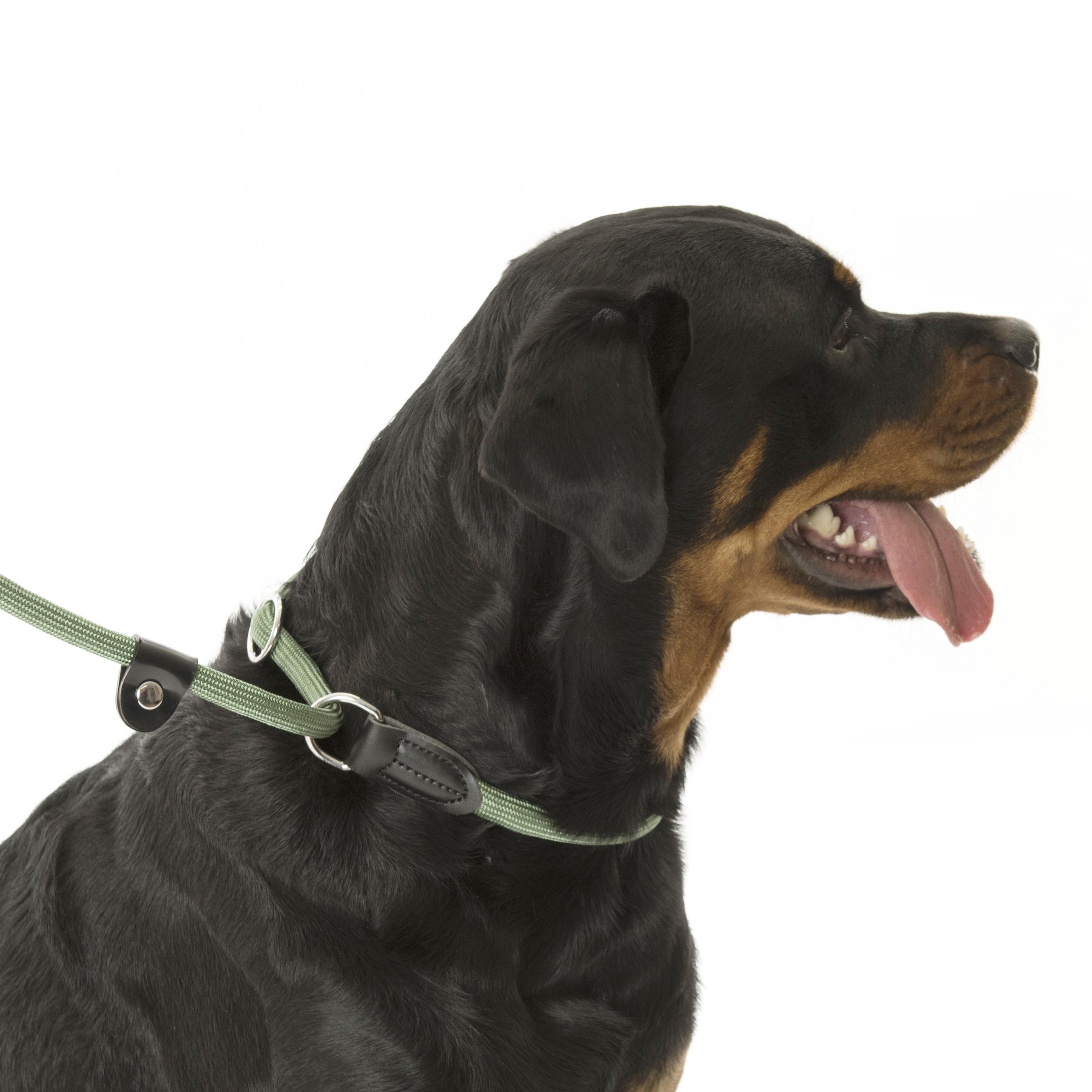 CLIX 3 in 1 Slip Lead In Use 5_1