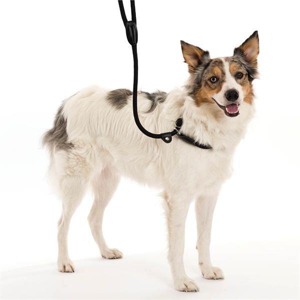 CLIX 3 in 1-Slip-Lead-Large-In-Use