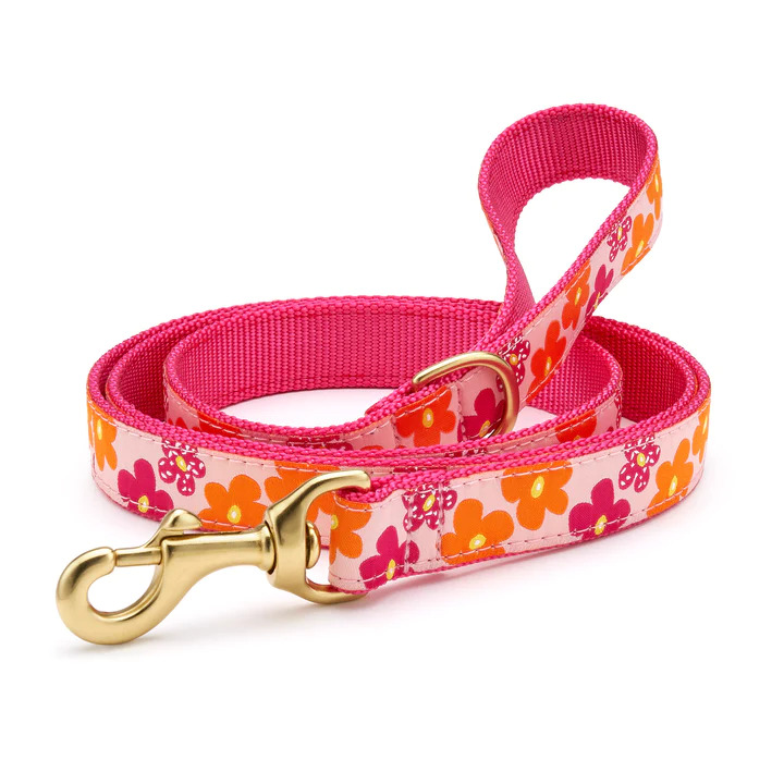 FlowerPower5ftDogLead_720x-_1_