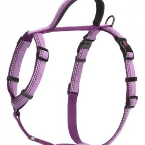 HALTI Walking Harness Purple