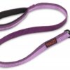 HALTI Walking Lead purple