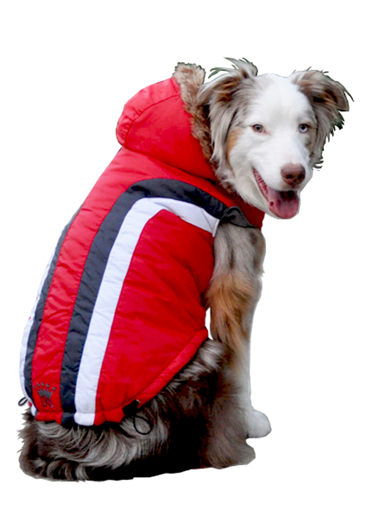 HD-5SARD Red Swiss Alpine Model