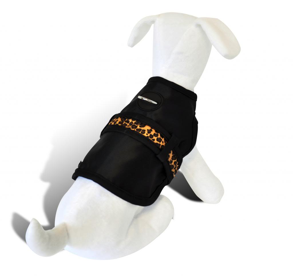 Harness_Animal_HiRes_zpsb5497650