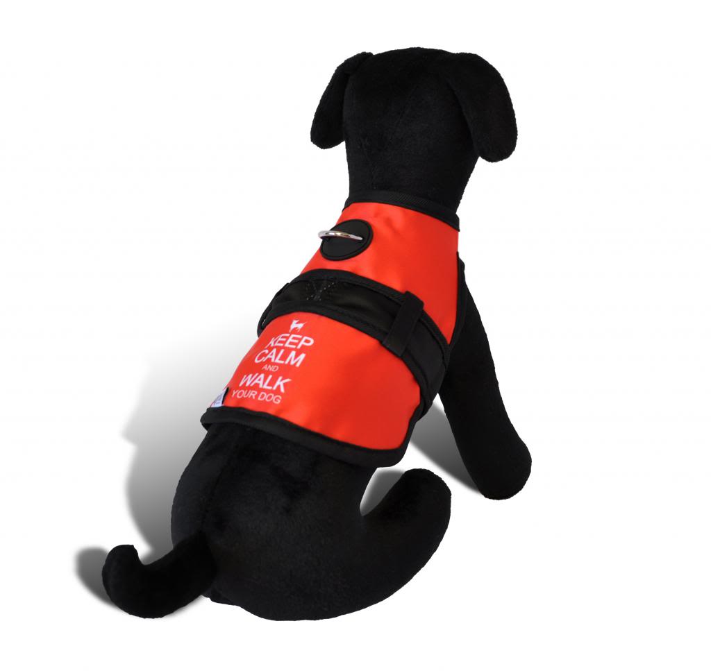 Harness_KeepCalm_HiRes_zps30832495