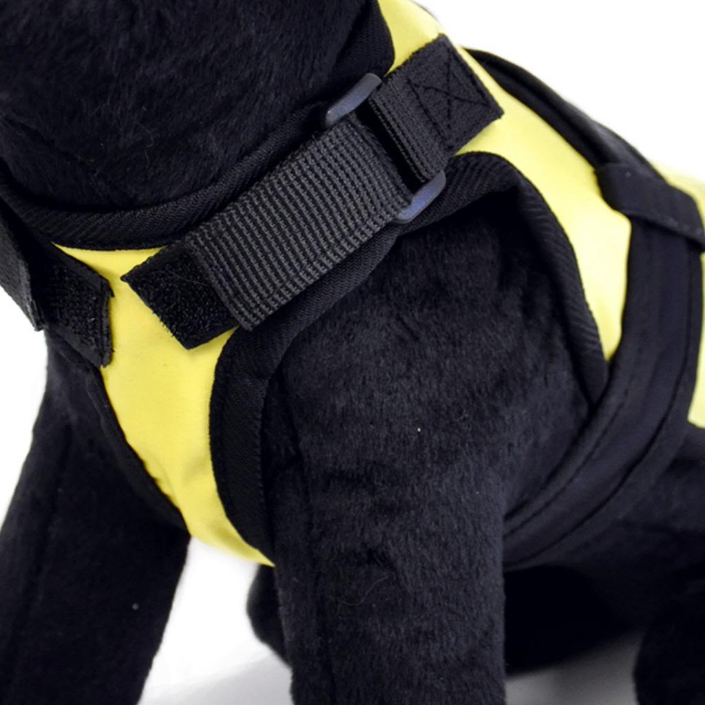 Harness_SomewhereUpThere_Alt_HiRes_zps306a858c