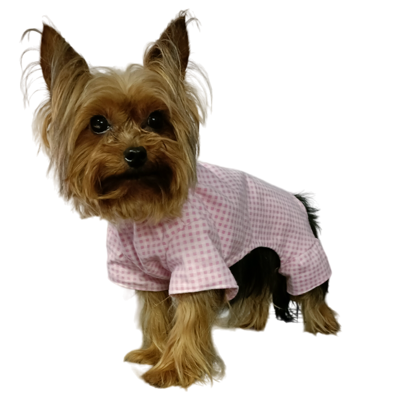 IMG20230422105850-PhotoRoom.png-PhotoRoom