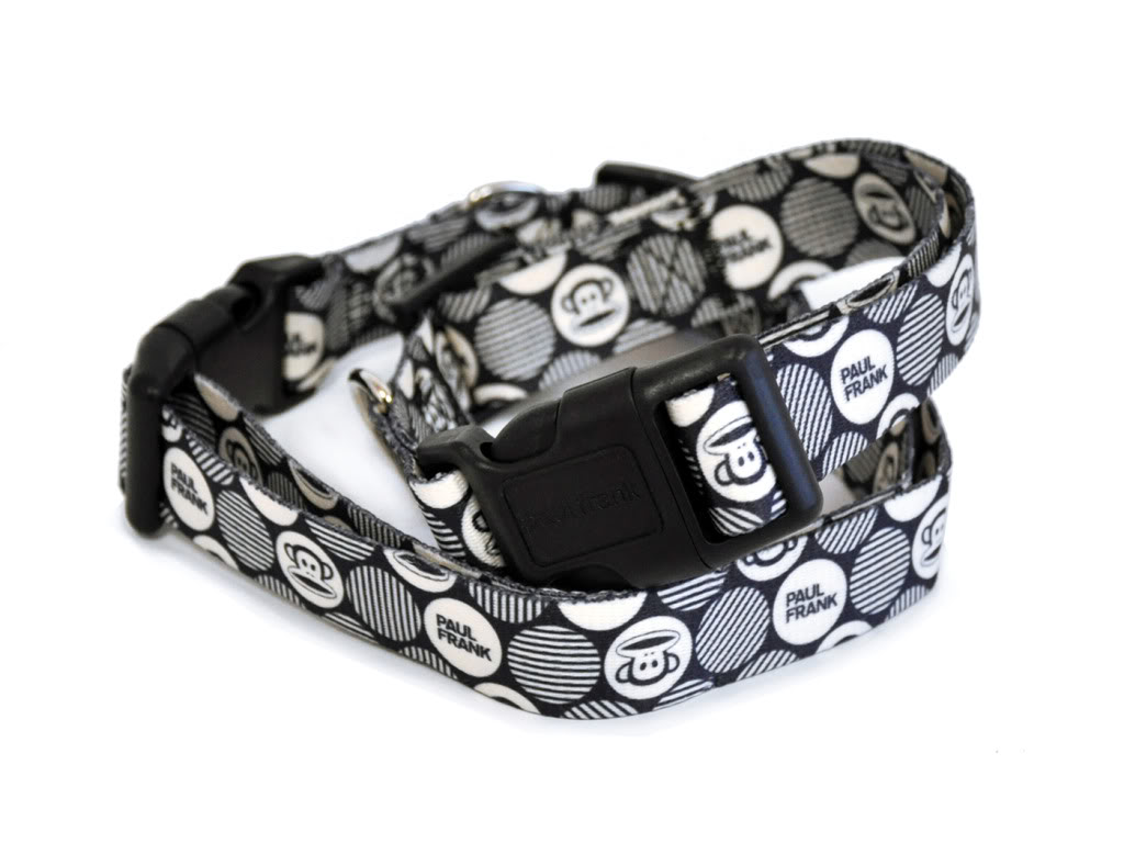 Paul Frank Collar-Julius Mod Dots