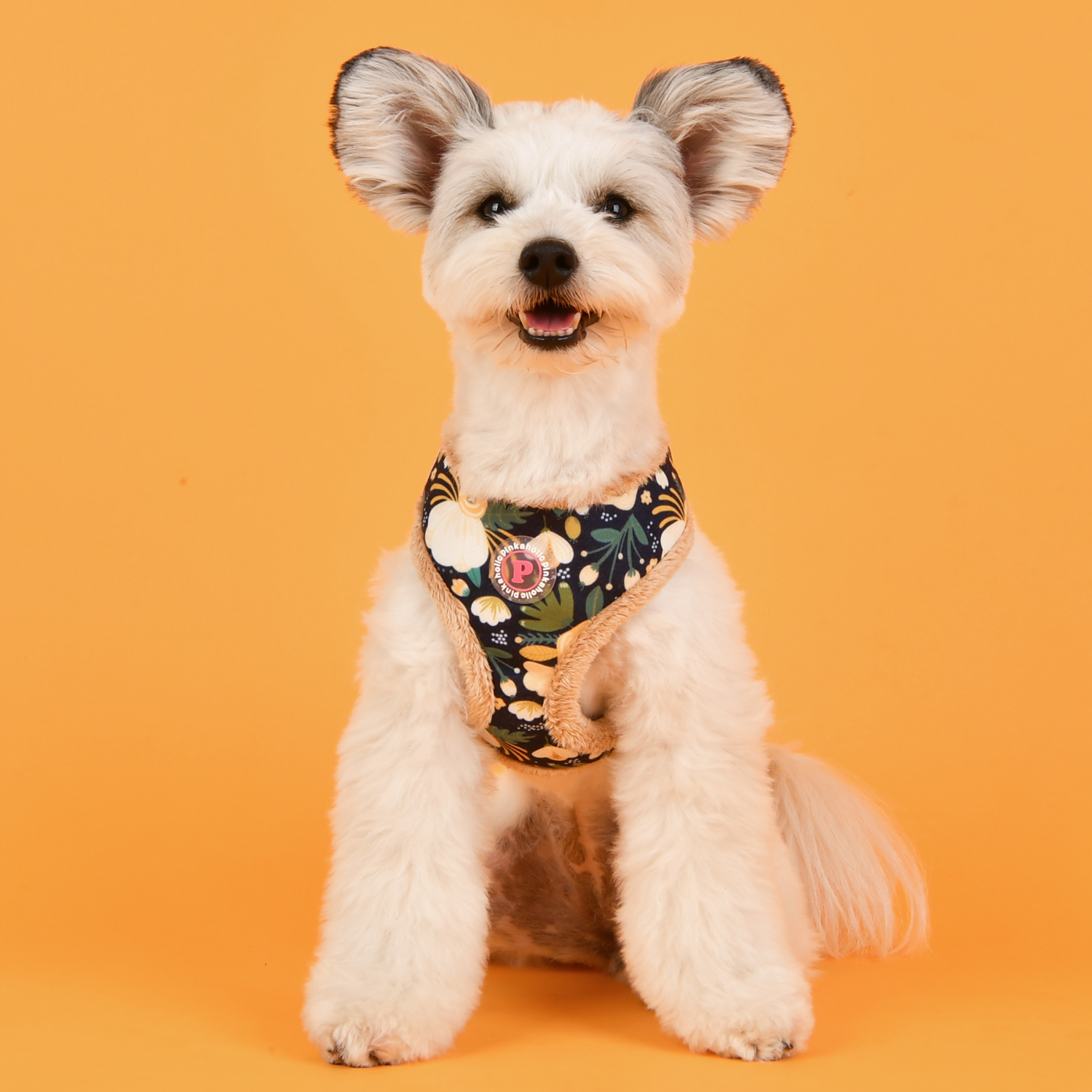 NAUD-HA7647-DOG
