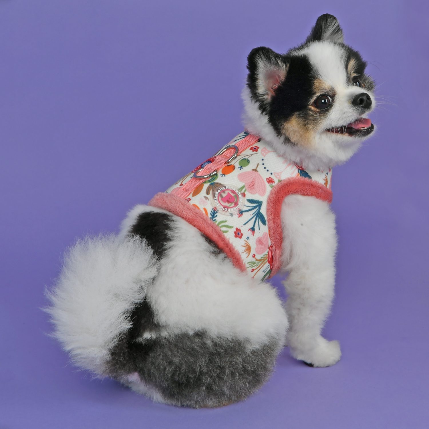 NAUD-HJ7647-DOG