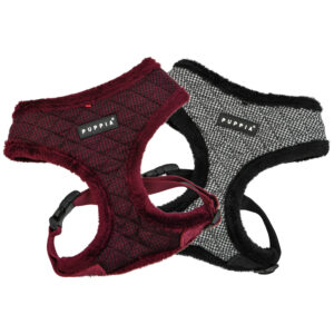 GASPAR HARNESS A