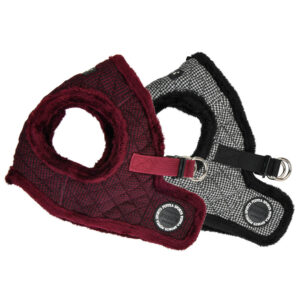 GASPAR HARNESS B