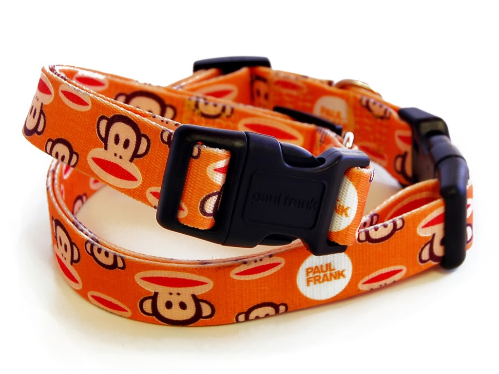 Signature20Julius20-20Orange