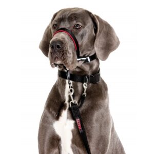 Halti Optifit Headcollar (Collare a cavezza)