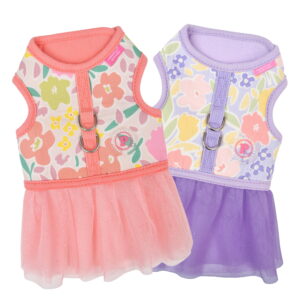 EVANTHE FLIRT HARNESS