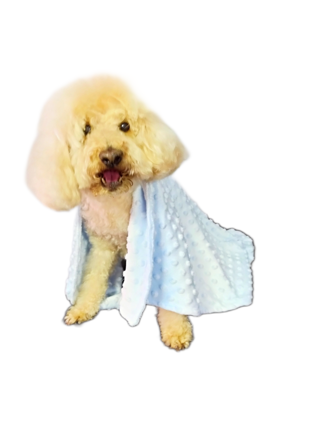 imageedit_23_4767792346