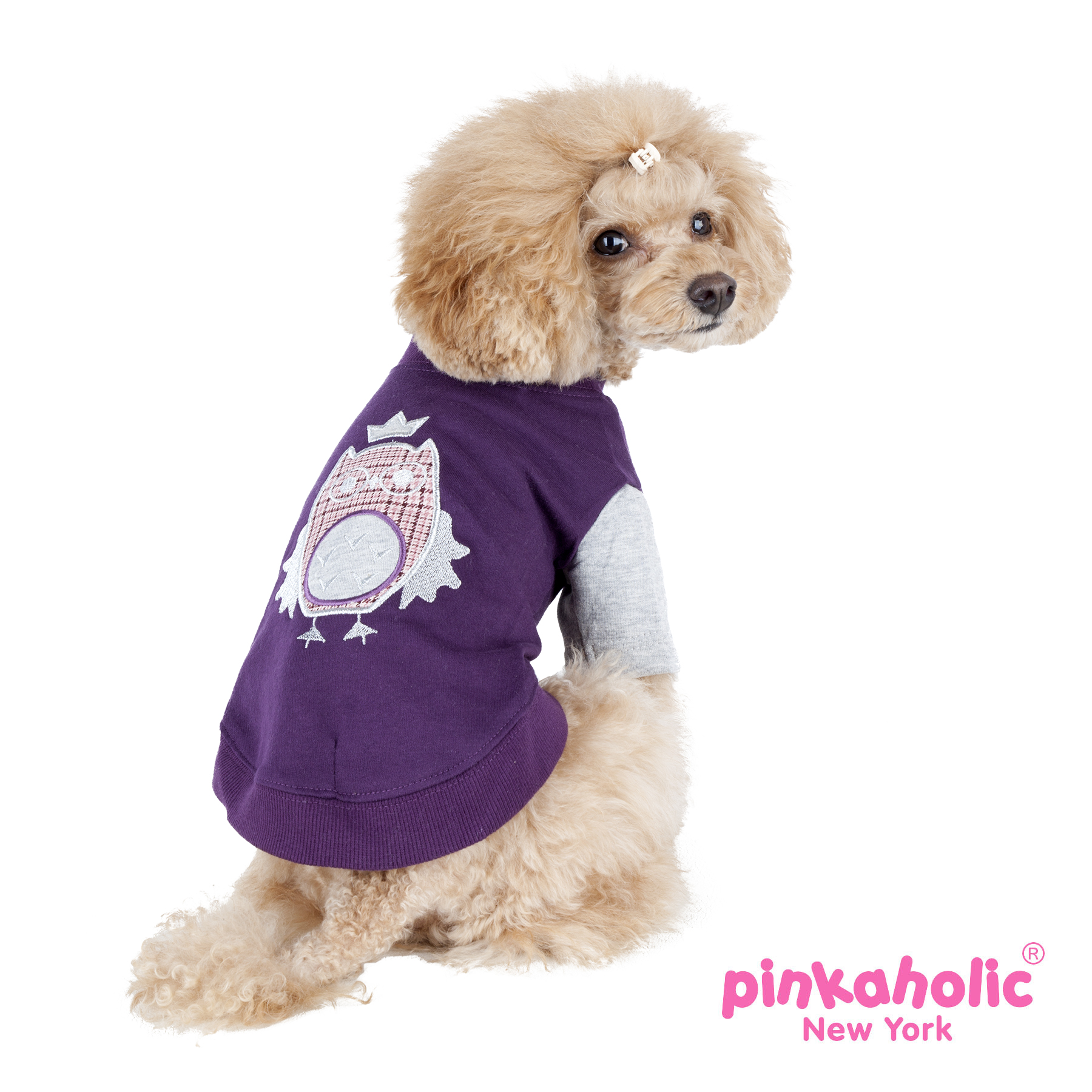 napd-ts7151-purple-1