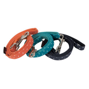 DOTTY LEAD II