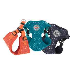 DOTTY HARNESS II C