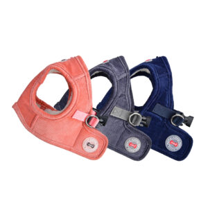 CLASSY HARNESS B