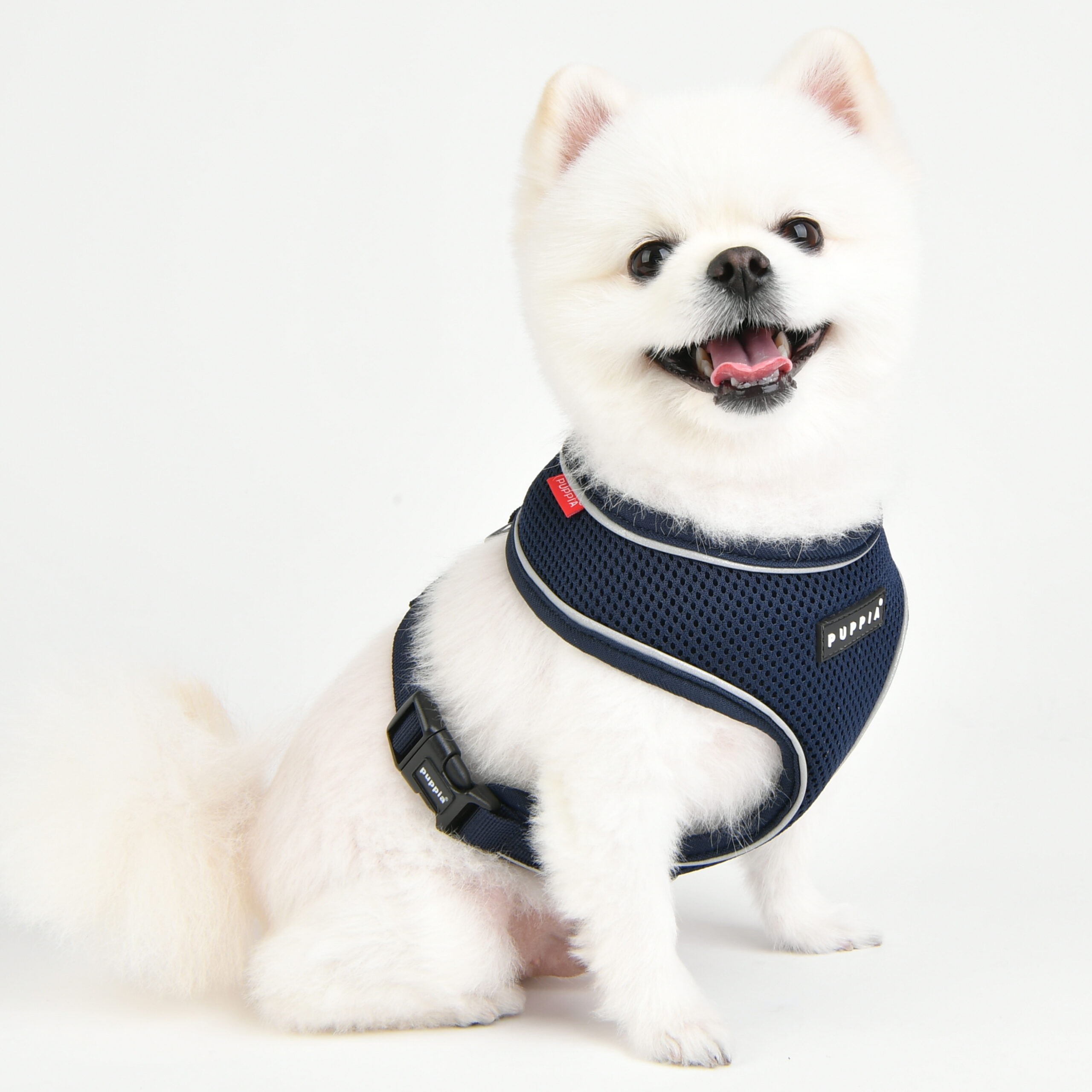 paua-ha1828-navy_pup3
