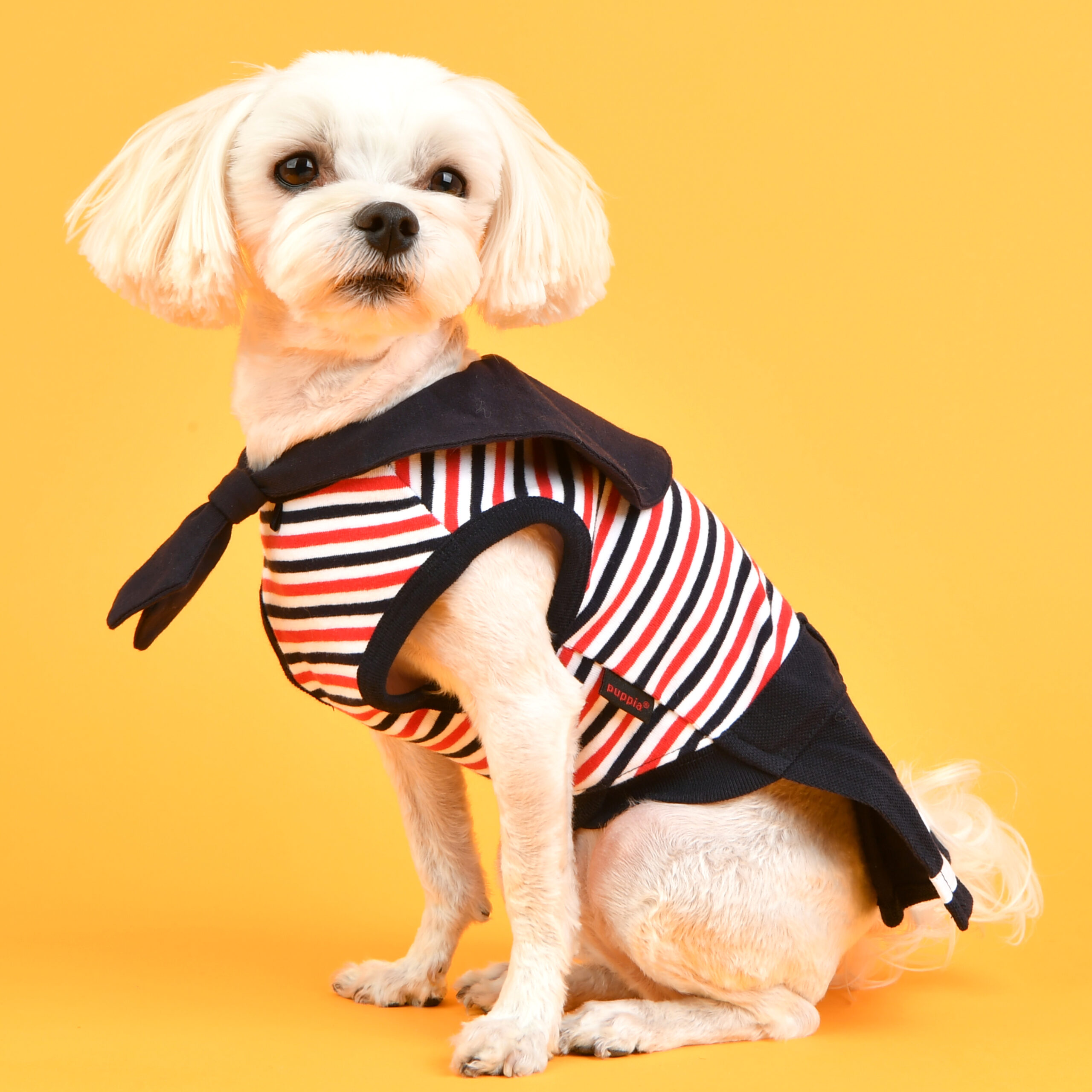 PAUA-OP1814-navy_pup2