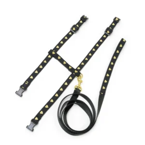 Heart Of Gold Cat Harness and Lead set