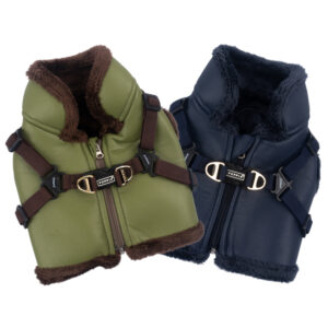 WYNTER HARNESS V