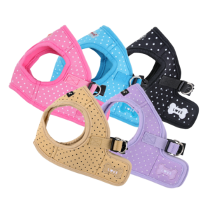 DOTTY HARNESS B