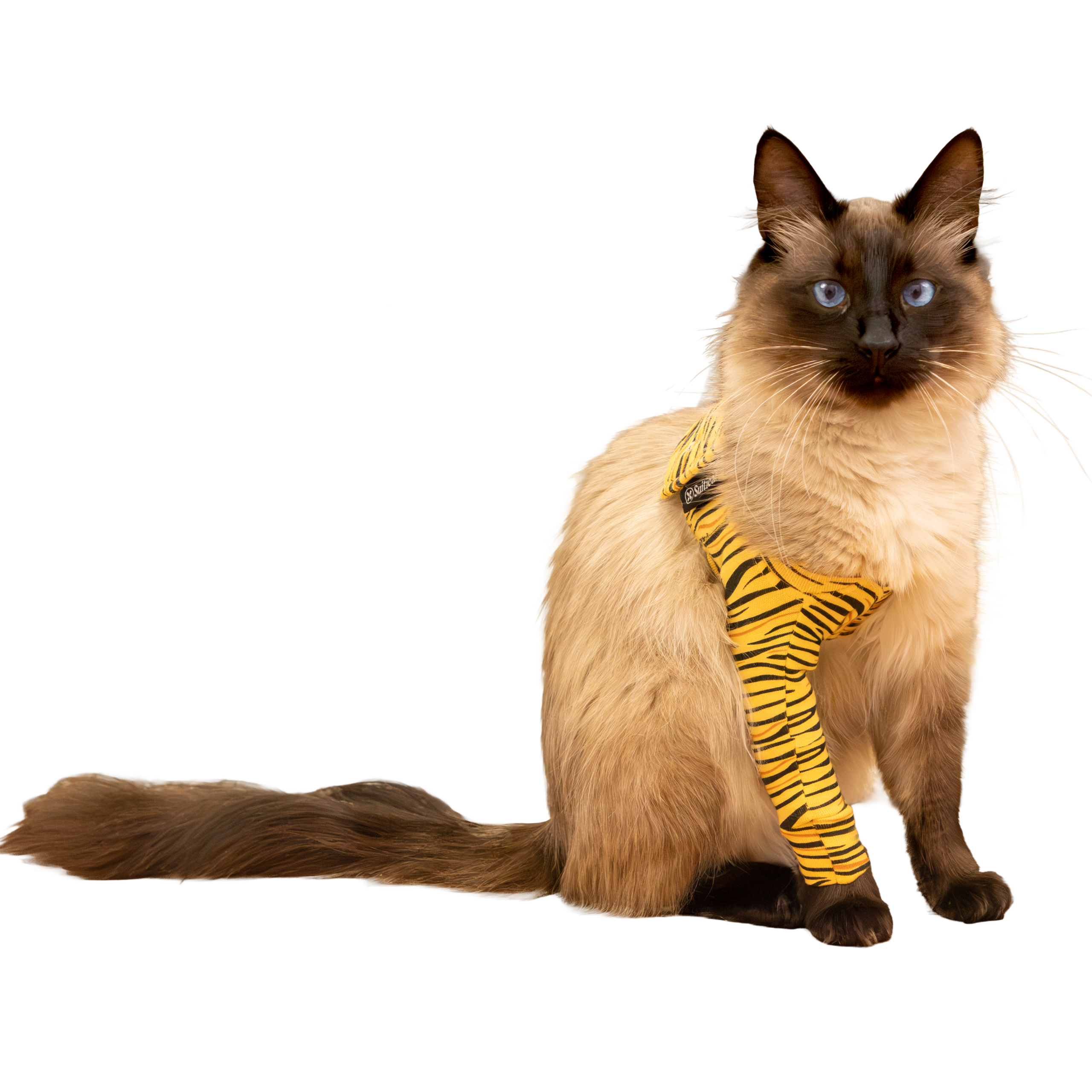 Suitical Recovery Front Leg Single Sleeve Cat Tutore arto per gatto Tiger print